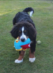 Ted at 6 Months