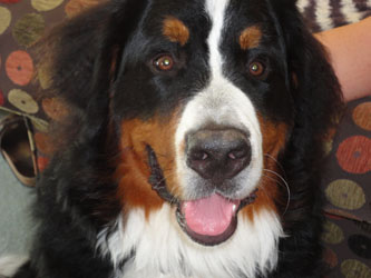 Ted at 8 Months