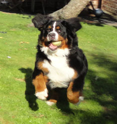 Ted at 8 Months