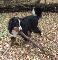 Ted at 11 Months