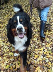 Ted at 11 Months