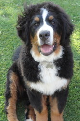 Ted At Five Months