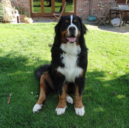 Ted At 10 Months