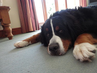 Ted At 10 Months