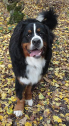 Ted at 11 Months