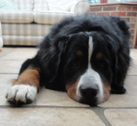 Ted at 11 Months