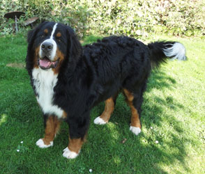 Ted At 10 Months