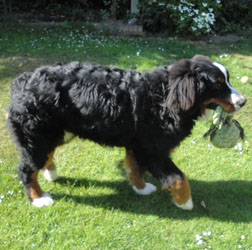 Ted at 7 Months