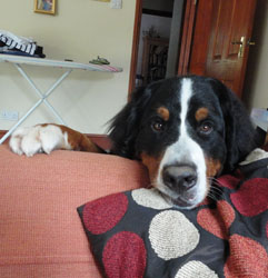 Ted at 9 Months