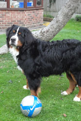 Ted at 9 Months