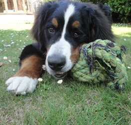 Ted at 7 Months