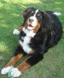 Ted at 7 Months