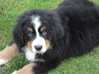 Ted At Two Months