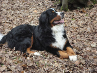 Ted at 15 Months