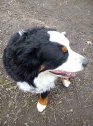 Tia at 15 Months