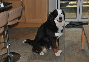 Tia at Nine Months