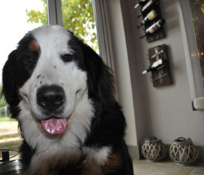 Tia at Nine Months