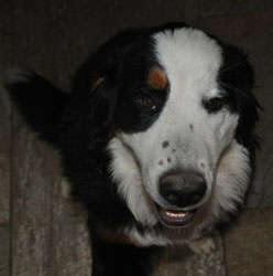Tia at 10 Months Old