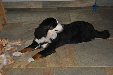 Tia at 10 Months Old