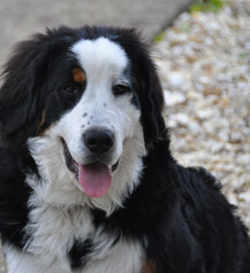 Tia at Six Months