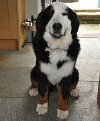 Tia at Six Months