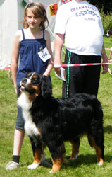 Katie & Millie