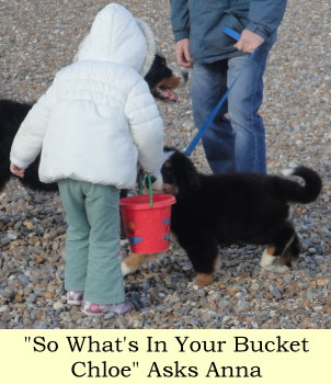 So Whats In Your Bucket Chloe Asks Anna
