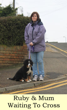 Ruby & Mum Waiting To Cross