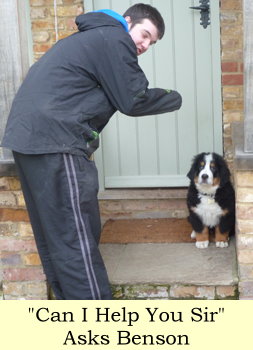 Can I Help You Sir Asks Benson