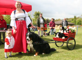 Abbie & Philippa with Harvey hitched up to our two wheel buggy