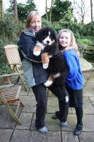 Yogi At Three Months