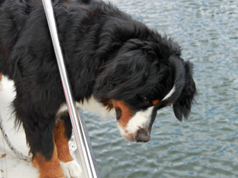 Ruby Goes On Her First Family Boating Holiday On The Thames