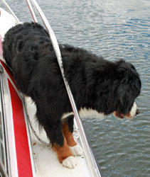 Ruby Goes On Her First Family Boating Holiday On The Thames