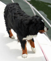 Ruby Goes On Her First Family Boating Holiday On The Thames