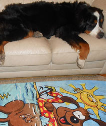 Simba at Two Years Old