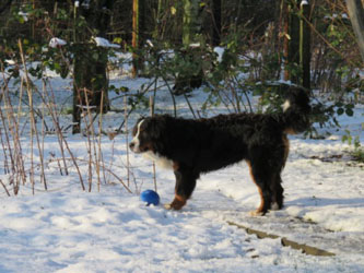 Finley at Nine Months