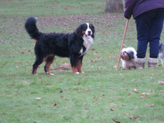 Finley at Eight Months