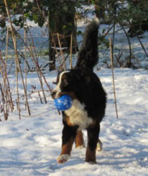 Finley at Nine Months