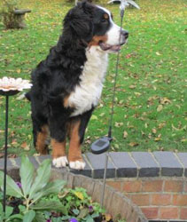 Finley at Seven Months