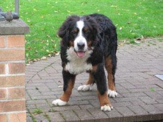 Finley at Seven Months