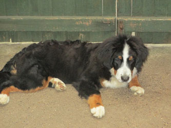 Finley at Six Months