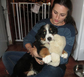 Finley at Three Months Old